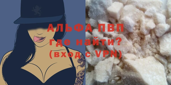 спиды Вяземский