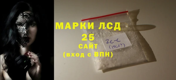 спиды Вяземский