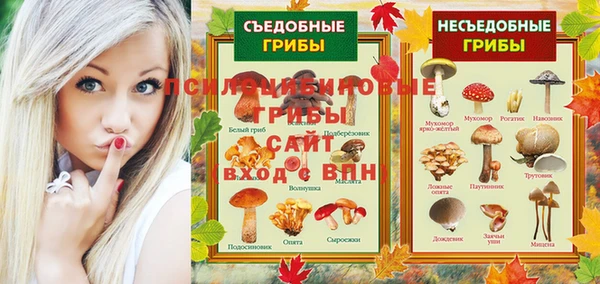 спиды Вяземский