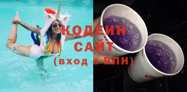 спиды Вяземский